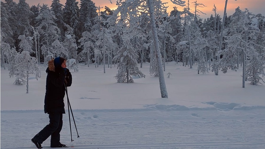 Cross country skiing